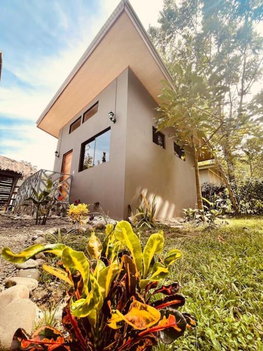 Casa Noil, Beautiful Eco House Near The Beach! Daire Puerto Viejo de Talamanca Dış mekan fotoğraf
